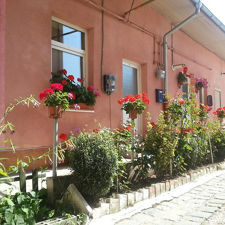 Center Park Apartment Cluj-Napoca Exterior foto